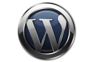 wordpress plugin widget